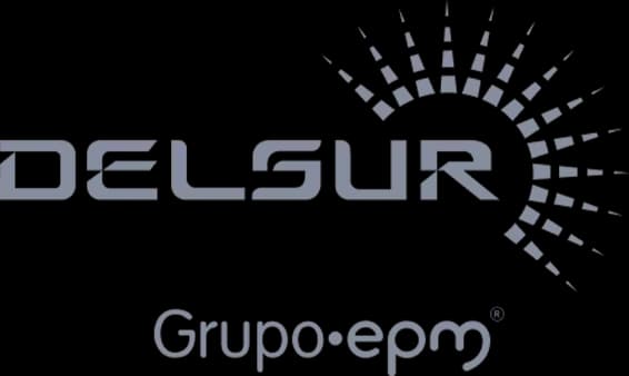 DELSUR