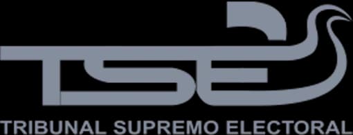 Tribunal Supremo Electoral