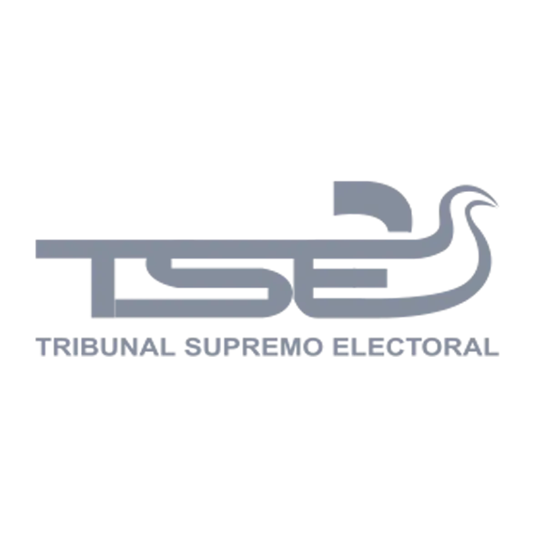 Tse_logo